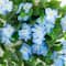 Nearly Natural; 24" UV Resistant Artificial Hydrangea Hanging Plants, 2ct.; Category:Potted Plants; Image:7